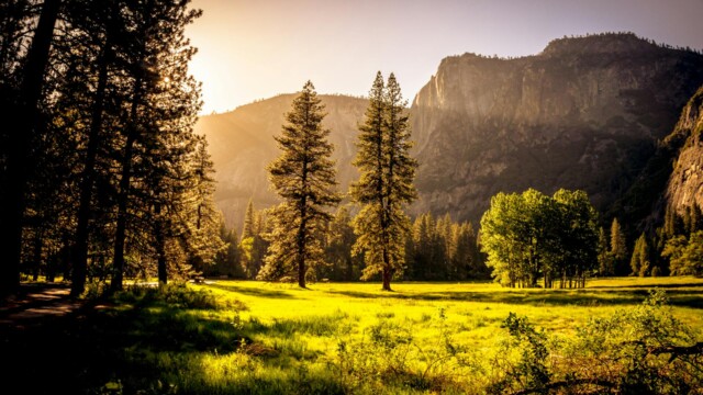 Sunlit meadow with trees and mountains Sunlit meadow with forest and mountains